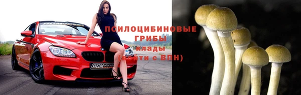 круглые Алзамай