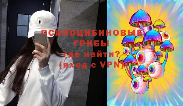 круглые Алзамай