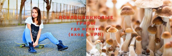 круглые Алзамай