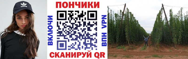 Канабис Bruce Banner  где продают   Морозовск 